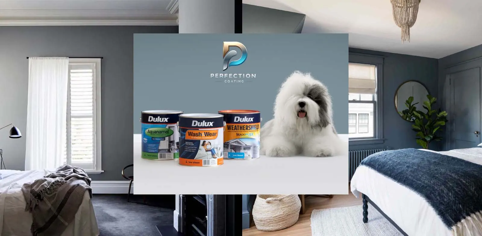 perfection coating and dulux paints